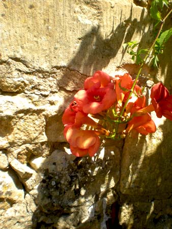 DSCN3470
